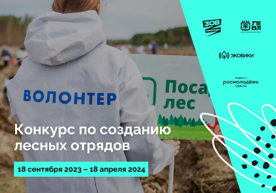 Движение ЭКА поможет развиваться сообществам лесных волонтеров